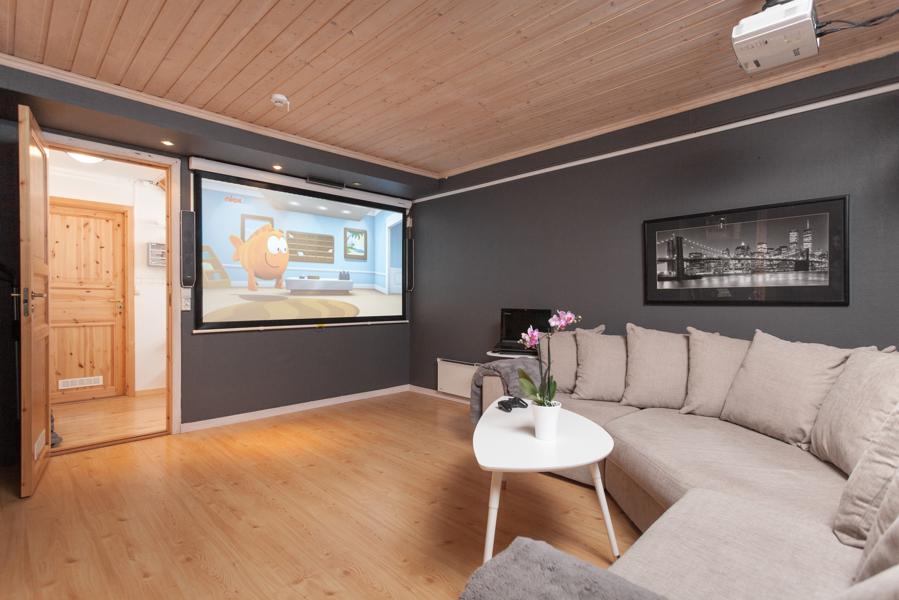 Basement living room