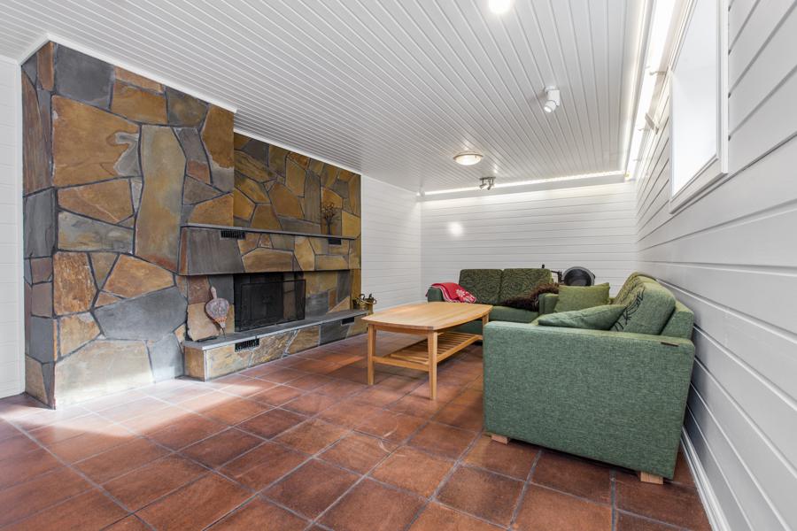 Basement living room