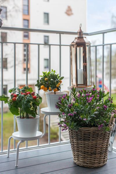 Balkong/Terrasse
