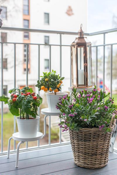Balkong/Terrasse