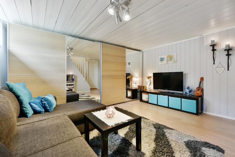 Basement living room