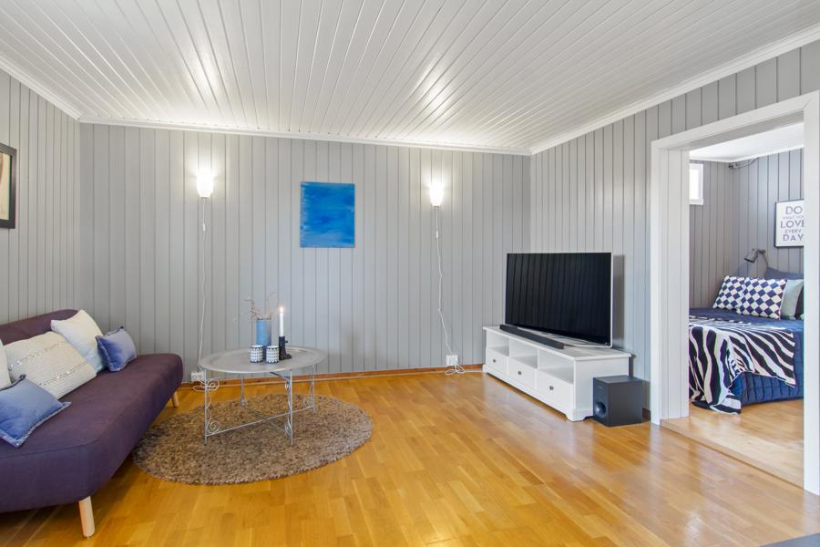 Basement living room