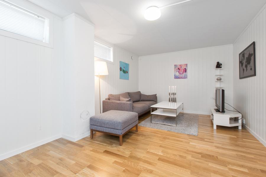 Basement living room