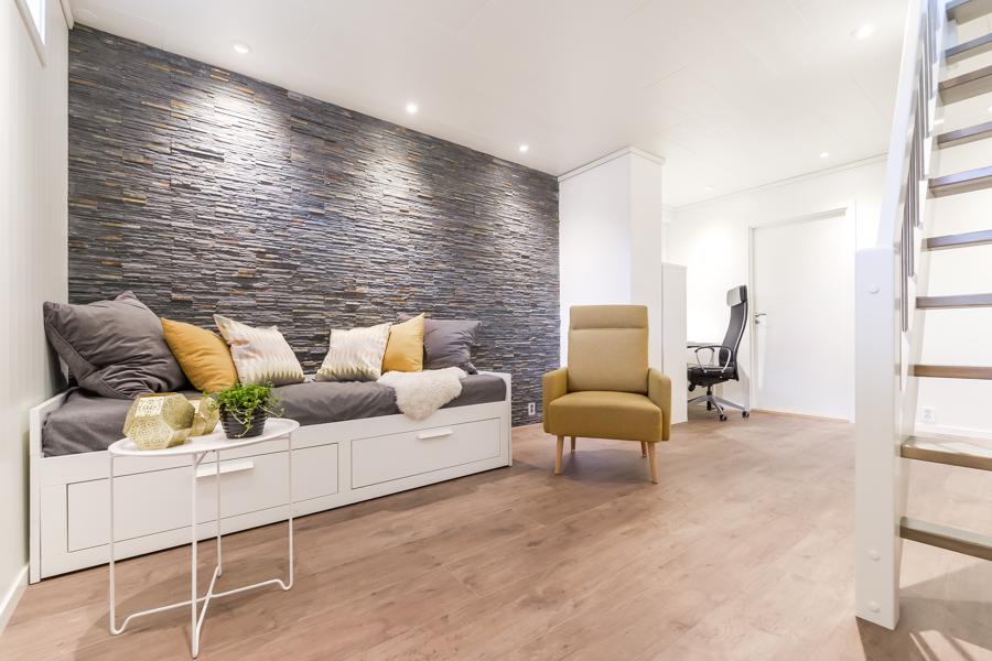 Basement living room