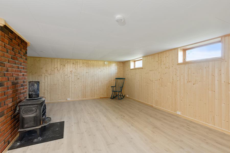 Basement living room