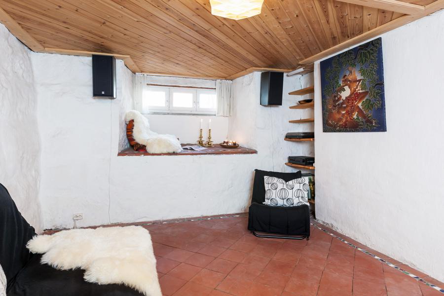 Basement living room