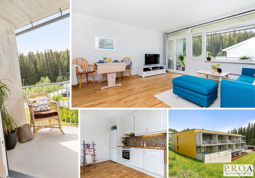 Velkommen til Lægdgrinda 9