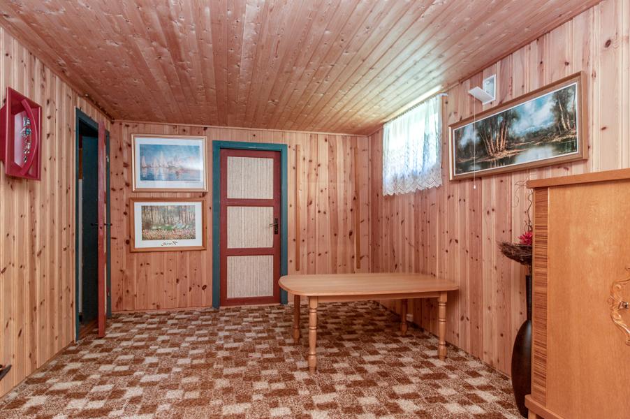 Basement living room