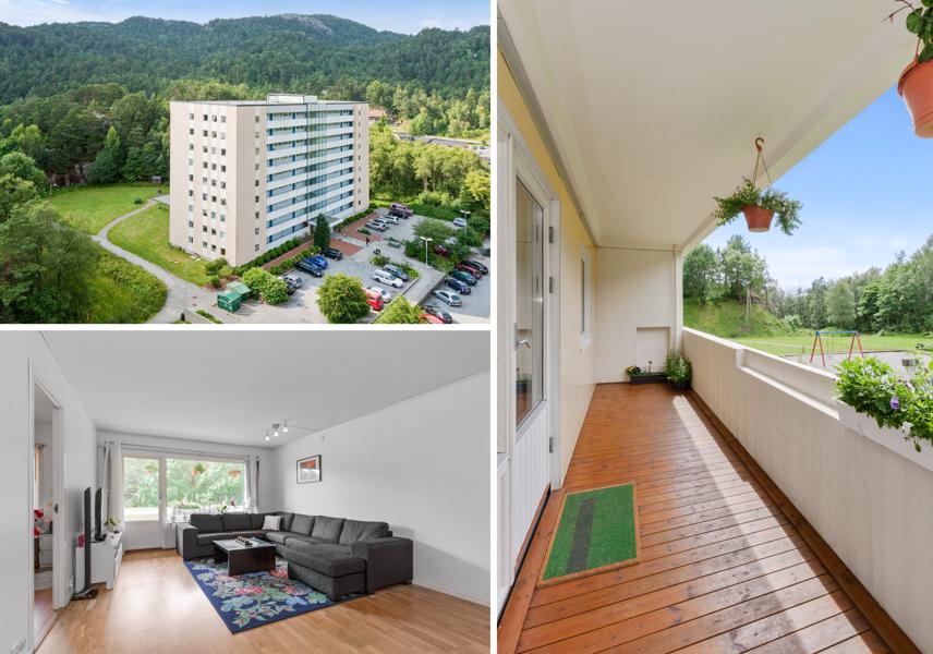 Velkommen til Storhammeren 11 11