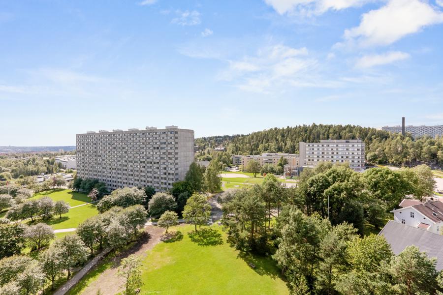 Velkommen til Ammerudhellinga 74 74