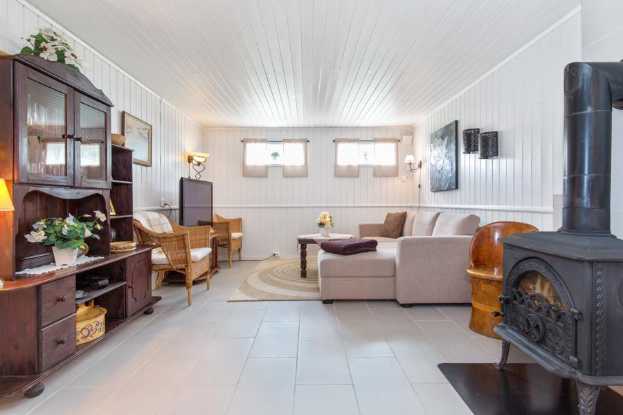 Basement living room