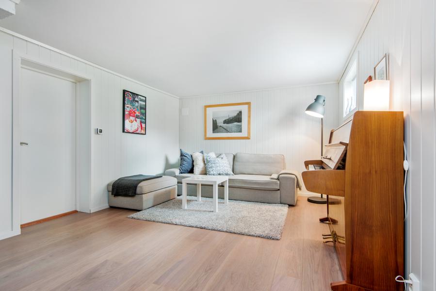Basement living room