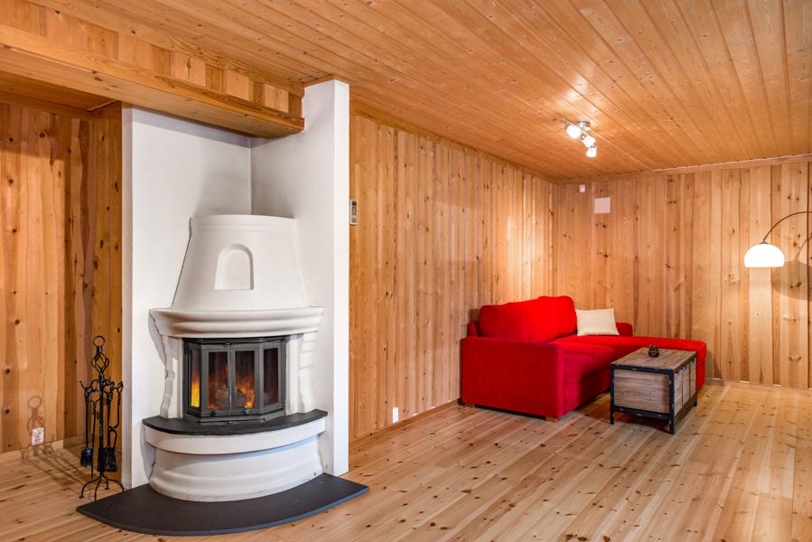 Basement living room