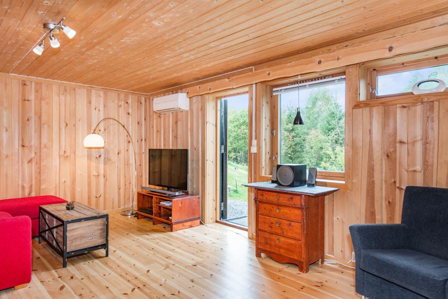 Basement living room