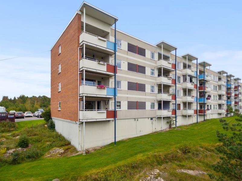 Velkommen til Tørkopp 17 17