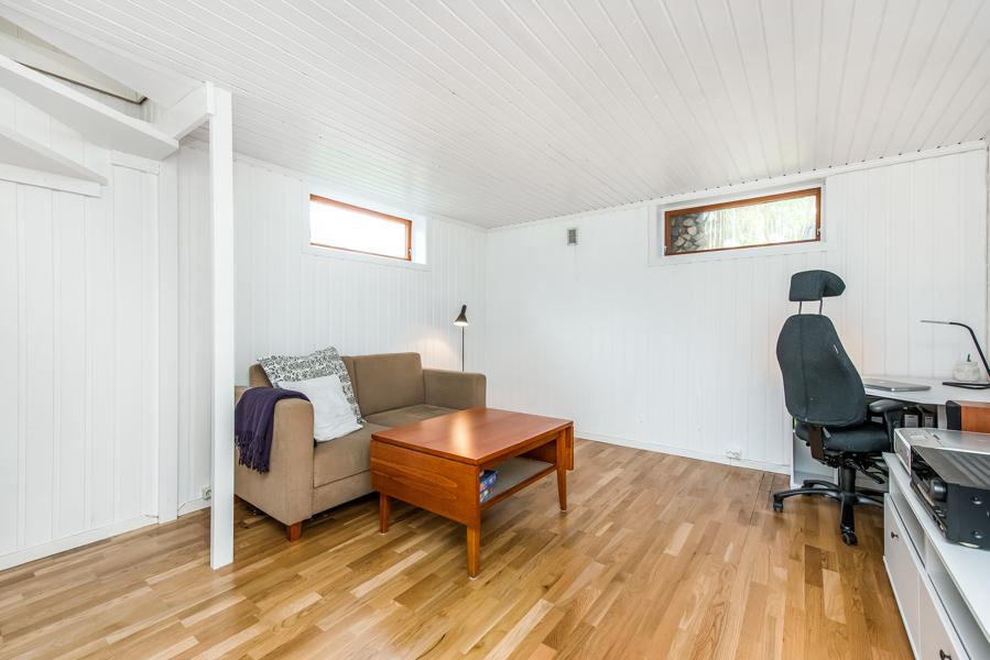 Basement living room