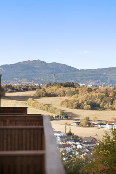 Balkong/Terrasse