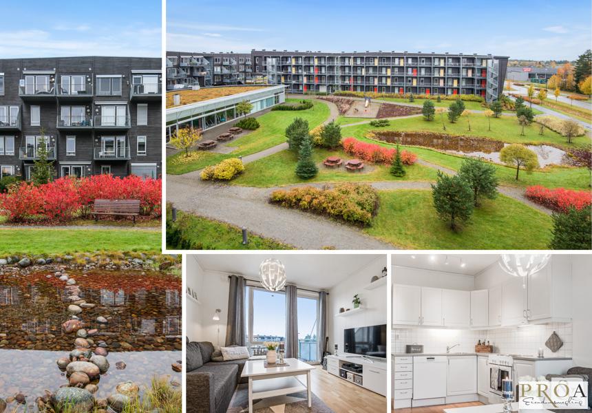 Velkommen til Myrvegen 60