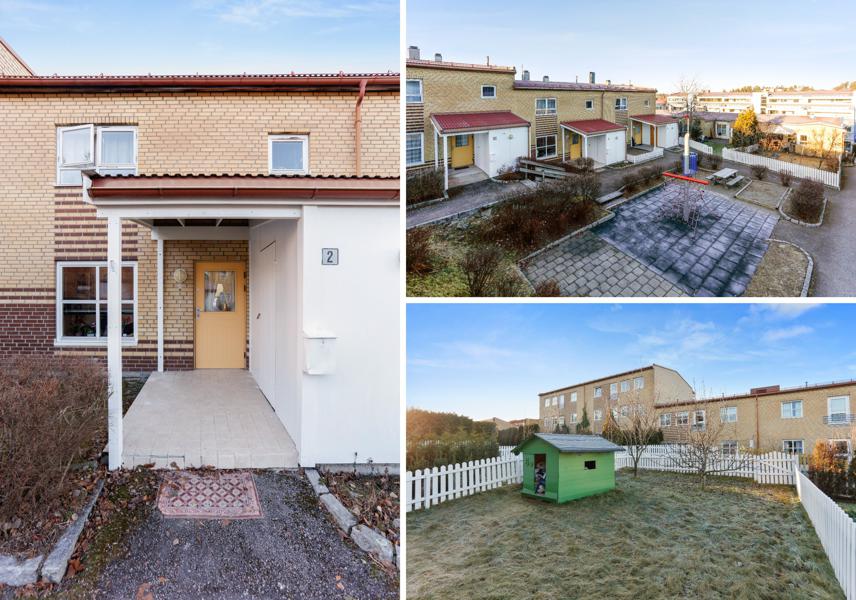 Velkommen til Kantarellen terrasse 2 2
