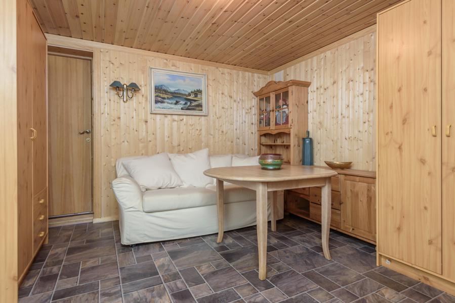 Basement living room