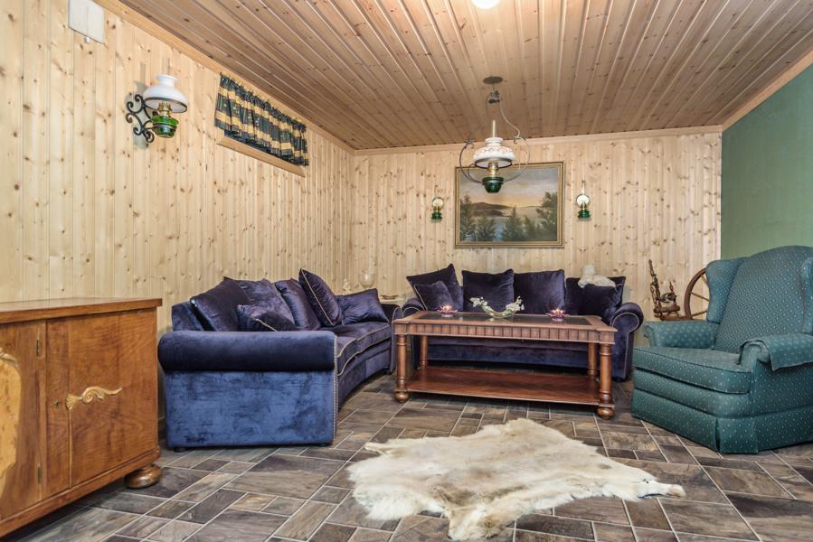 Basement living room