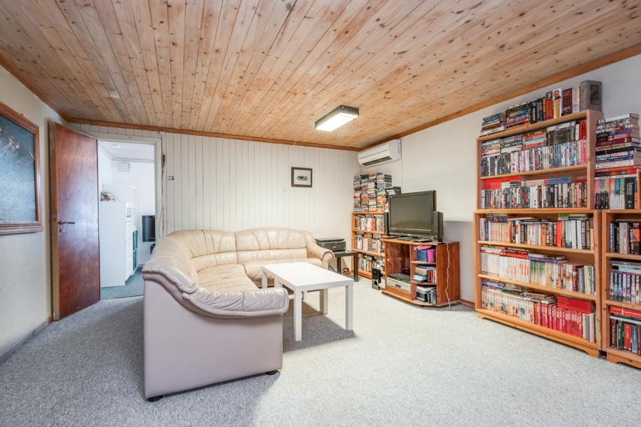 Basement living room