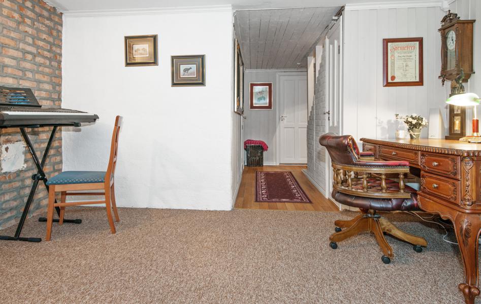 Basement living room