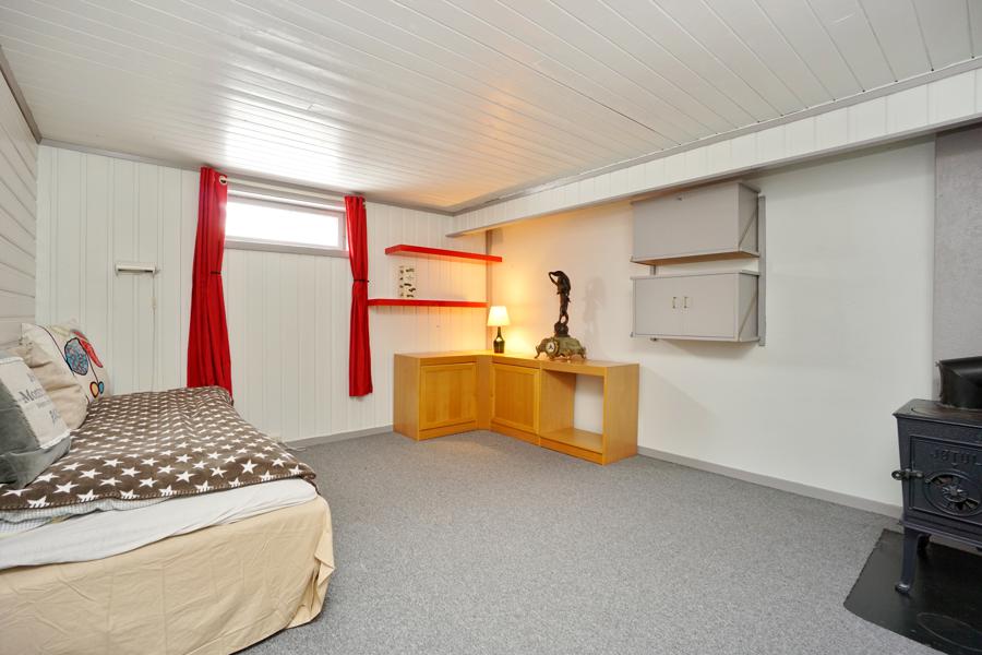 Basement living room
