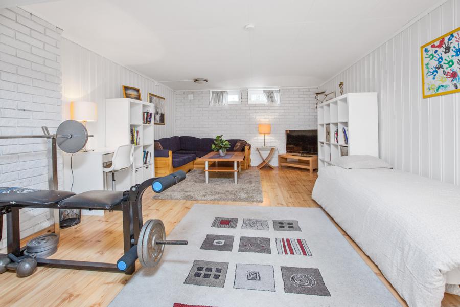 Basement living room