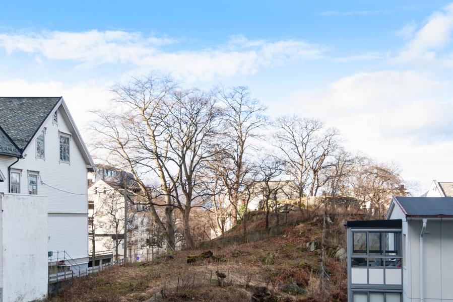 Utsikt