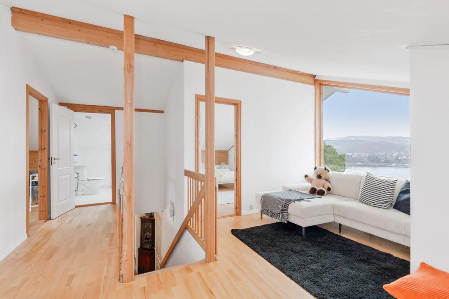 Basement living room