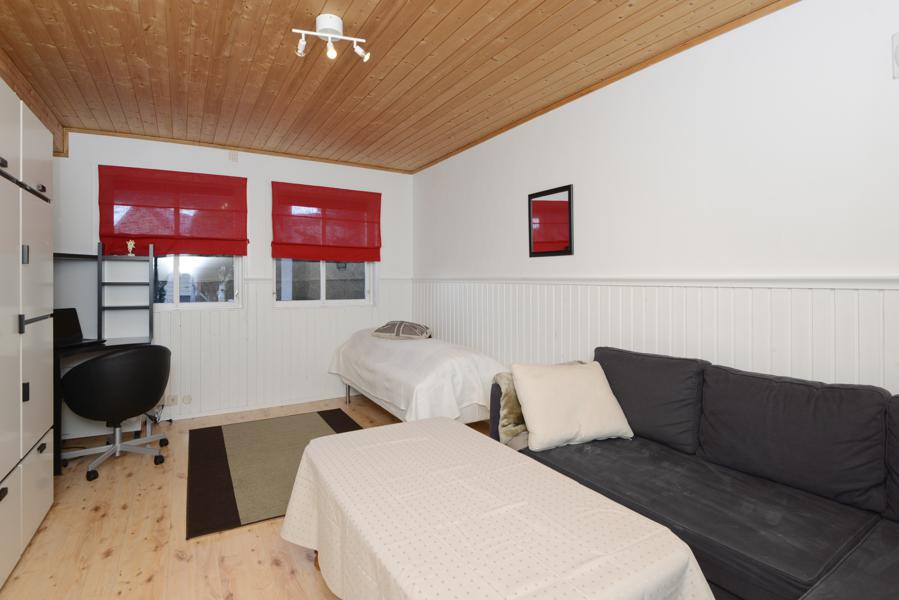 Basement living room