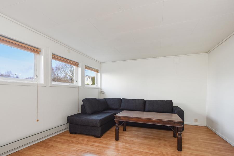 Basement living room
