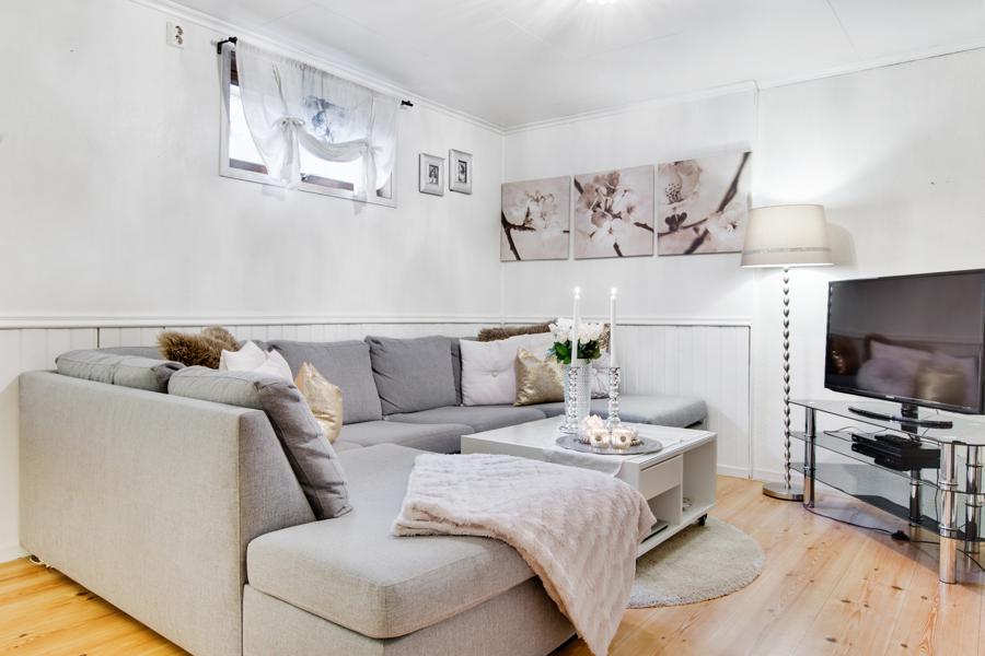 Basement living room