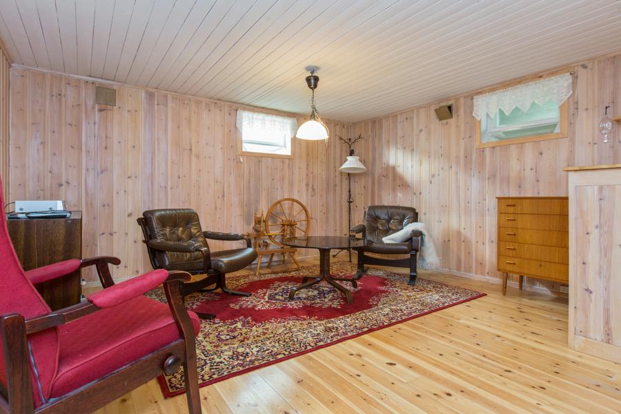 Basement living room