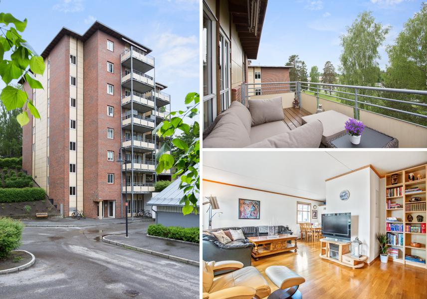 Velkommen til Manesjen 8B