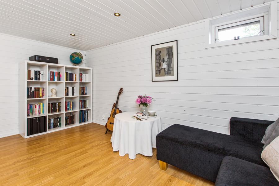 Basement living room