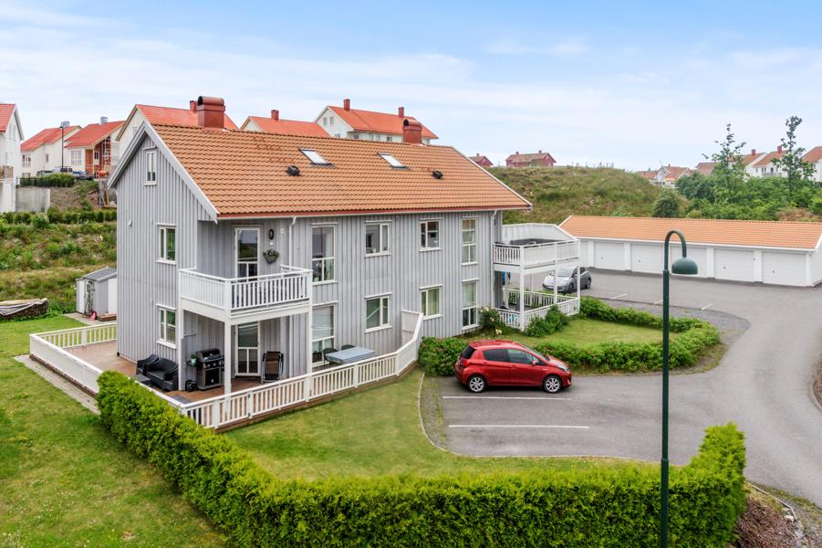 Velkommen til Steinsoppfaret 20