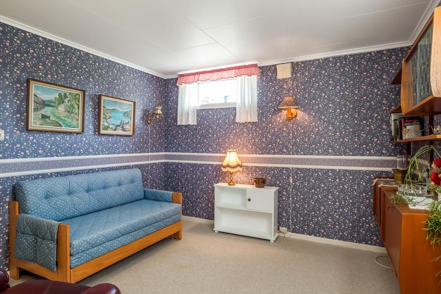 Basement living room