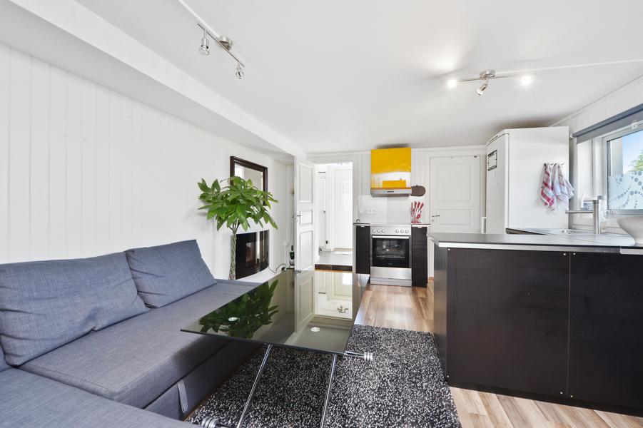 Basement living room