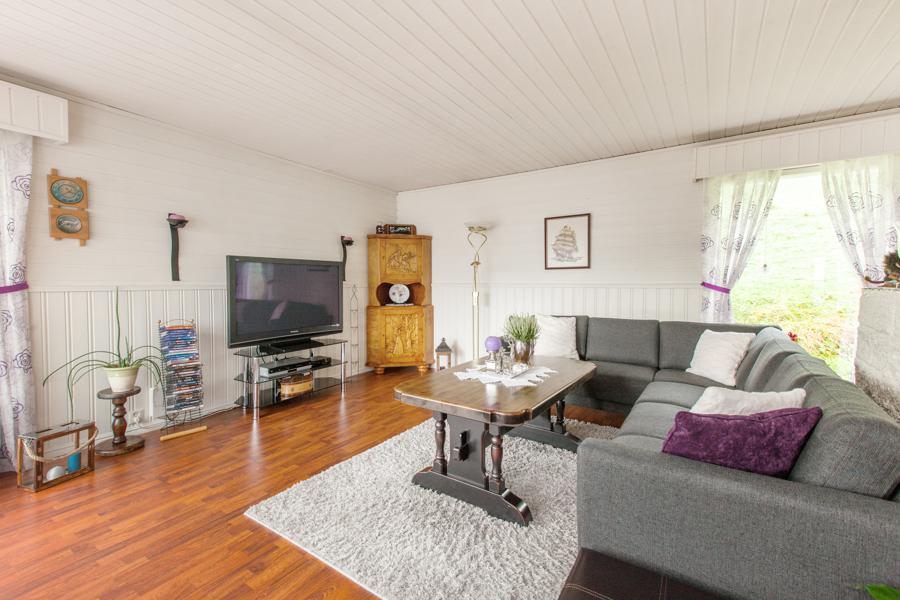 Basement living room