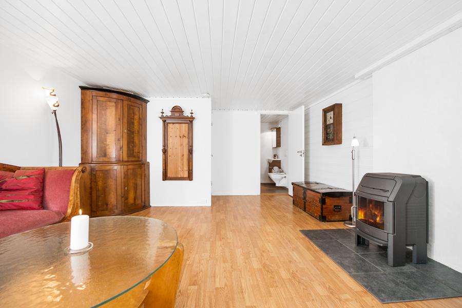 Basement living room