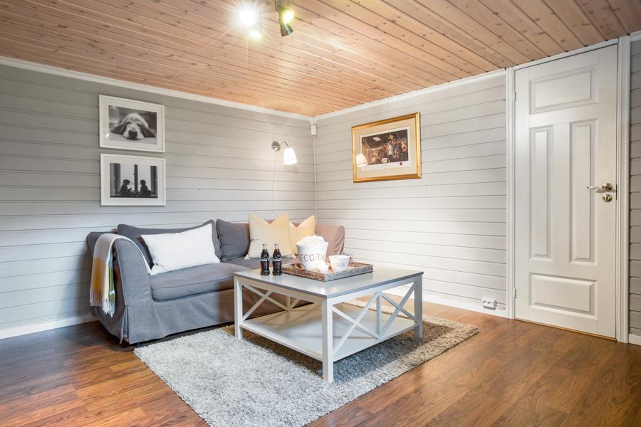 Basement living room