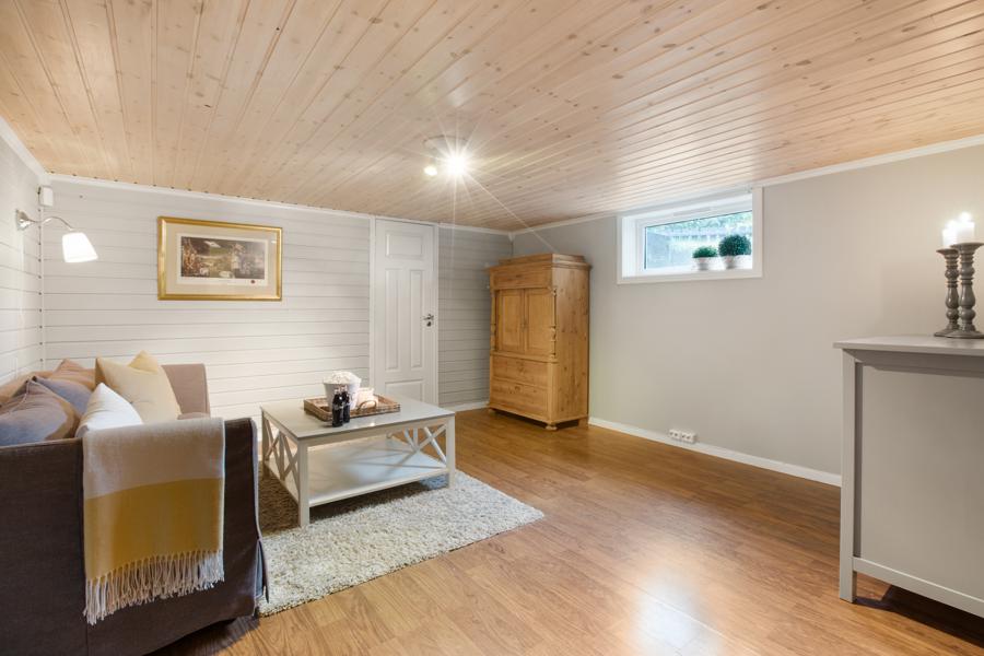 Basement living room