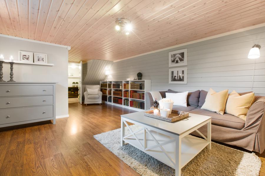 Basement living room