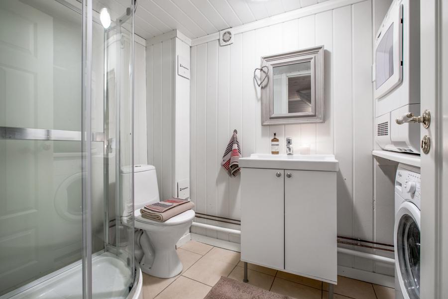 Basement living room