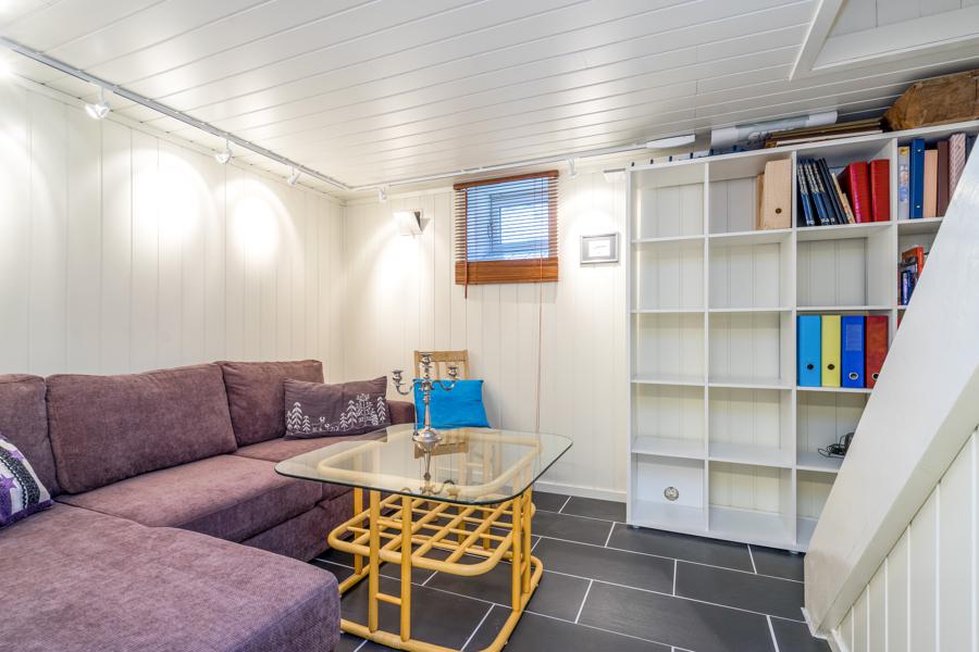 Basement living room
