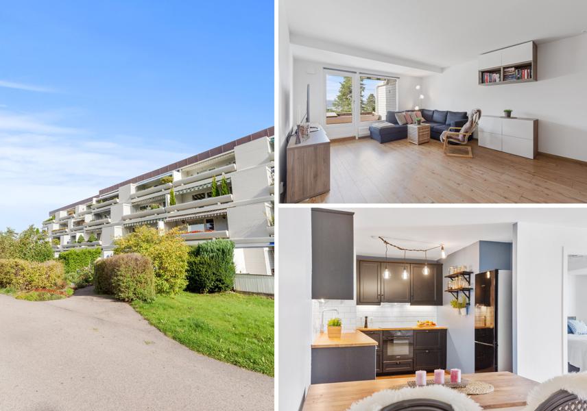 Velkommen til Lusetjernveien 88