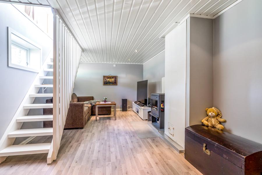 Basement living room