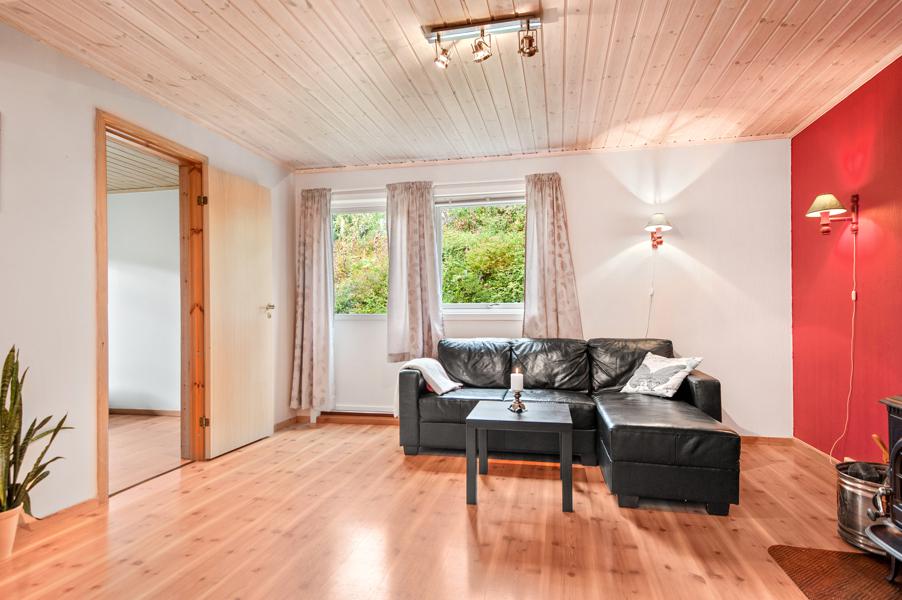 Basement living room